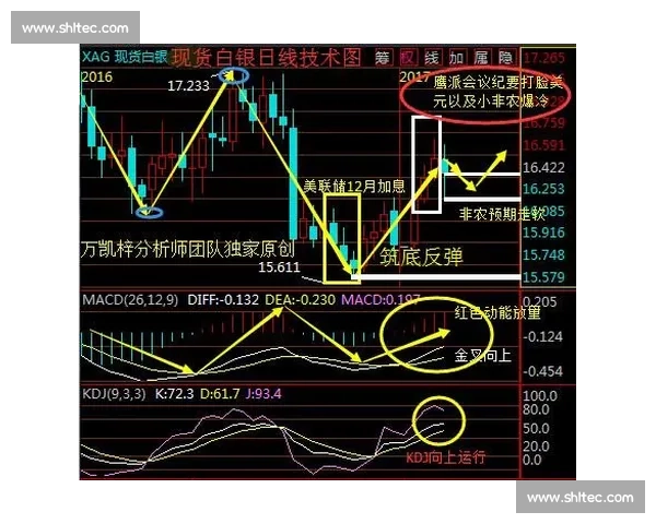 现货交易实战模拟比赛全面解析与策略指导