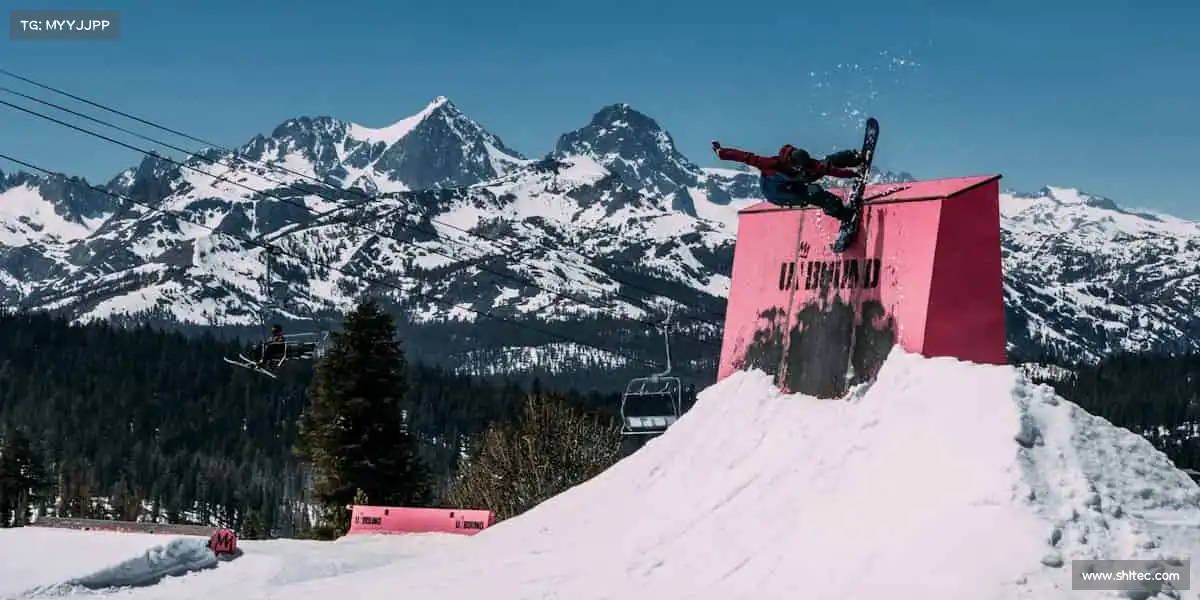 为什么选择我们